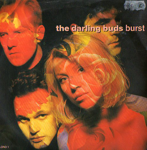 Single vinyl / 7 inch 