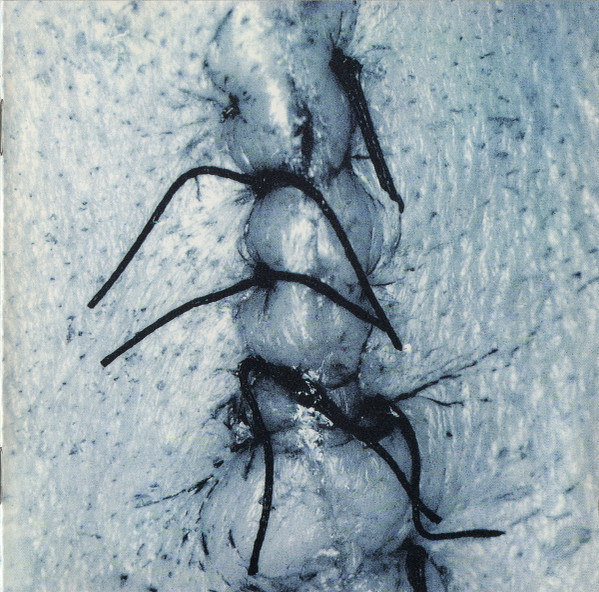 cd  